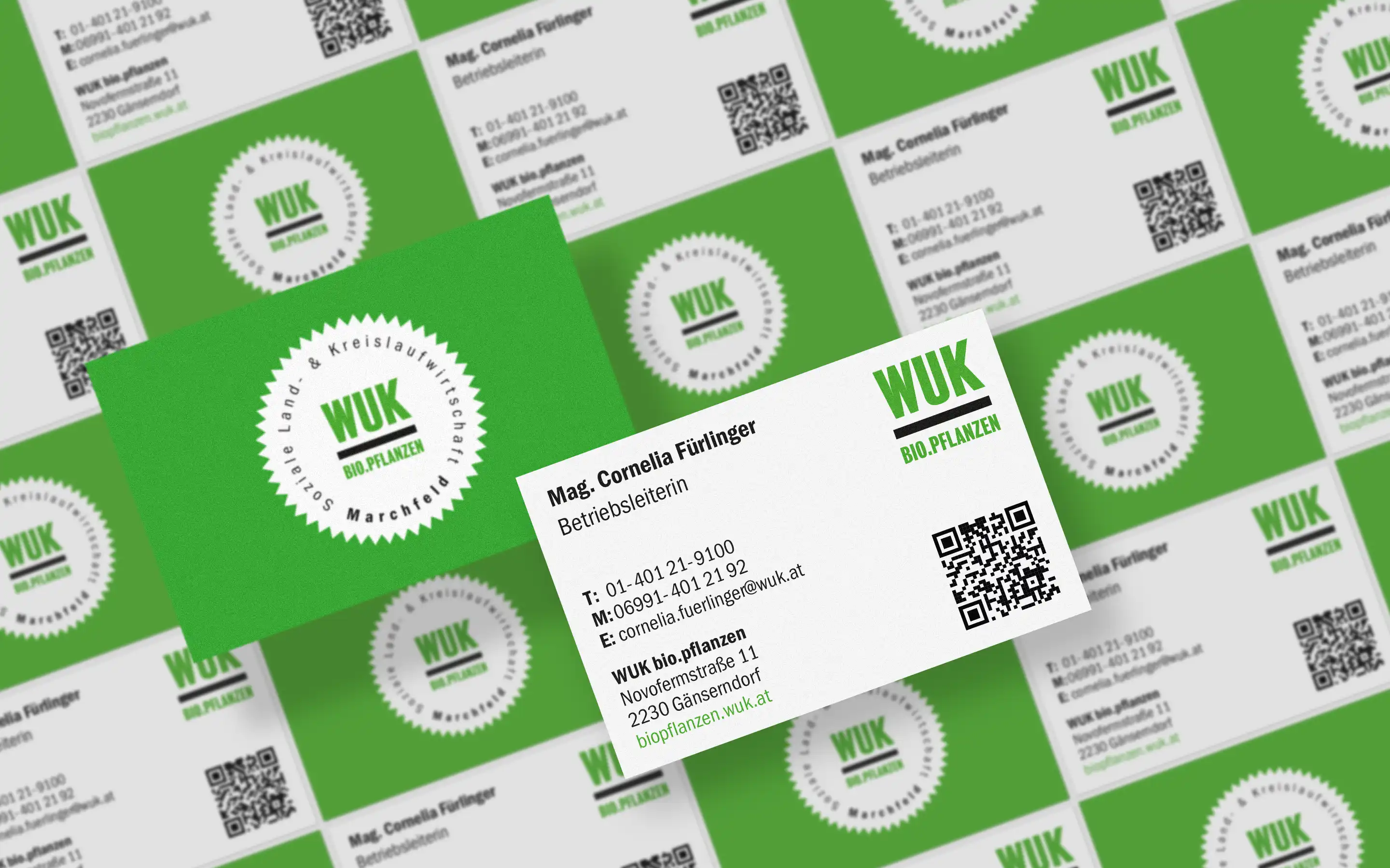 Covers Jahresberichte